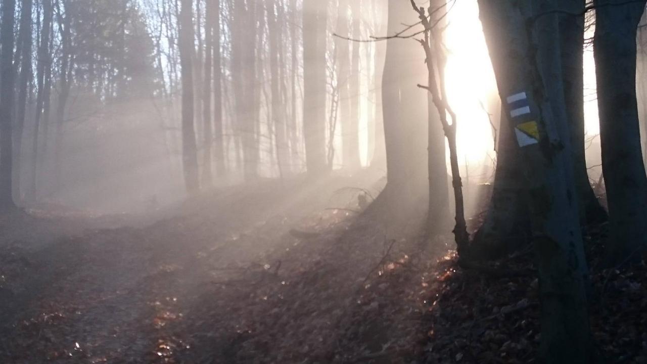 Trenčín Nature Homestay מראה חיצוני תמונה