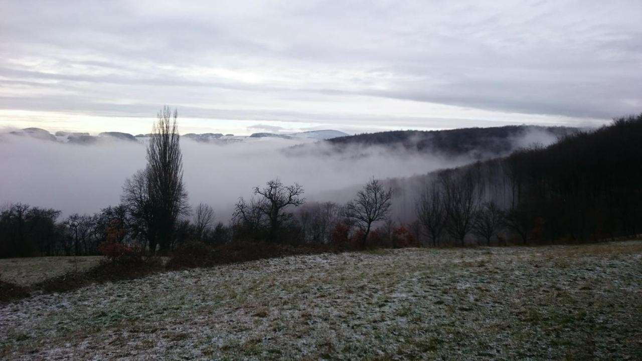 Trenčín Nature Homestay מראה חיצוני תמונה