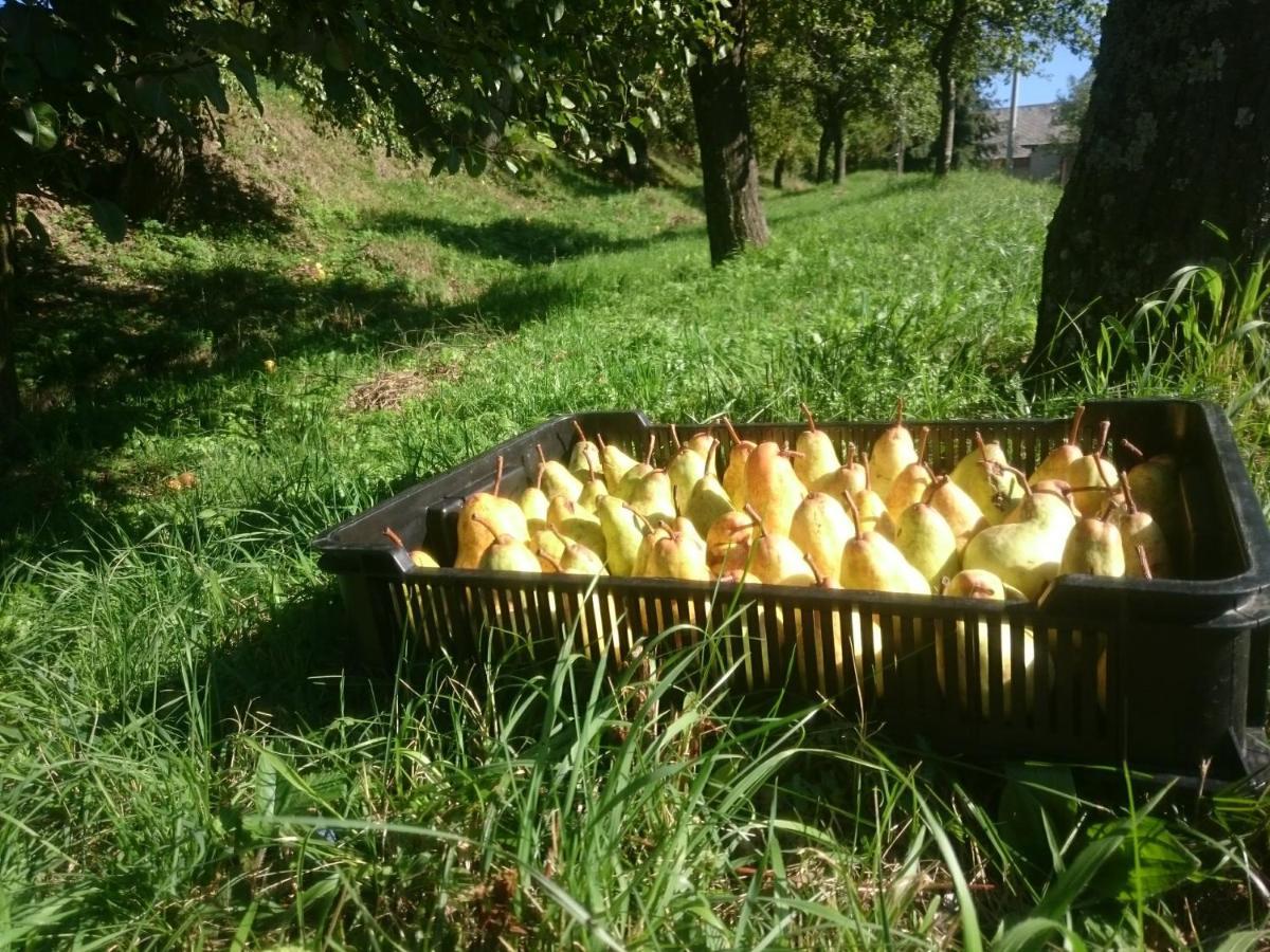 Trenčín Nature Homestay מראה חיצוני תמונה
