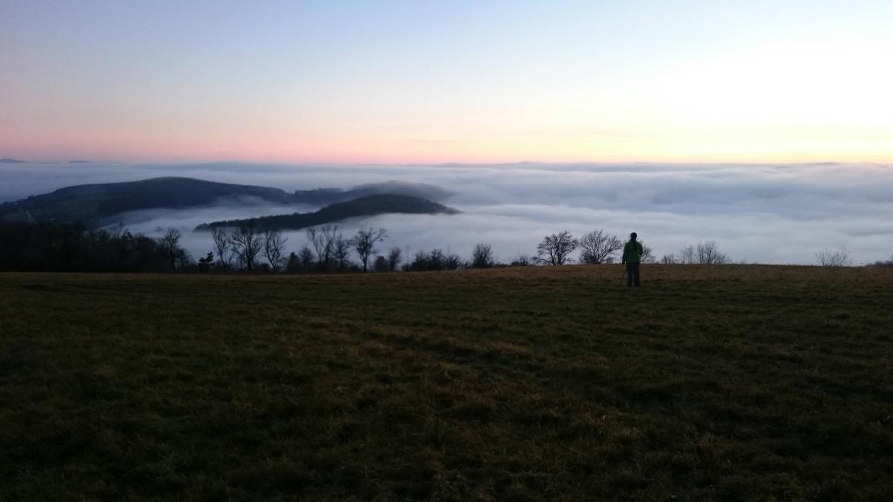 Trenčín Nature Homestay מראה חיצוני תמונה