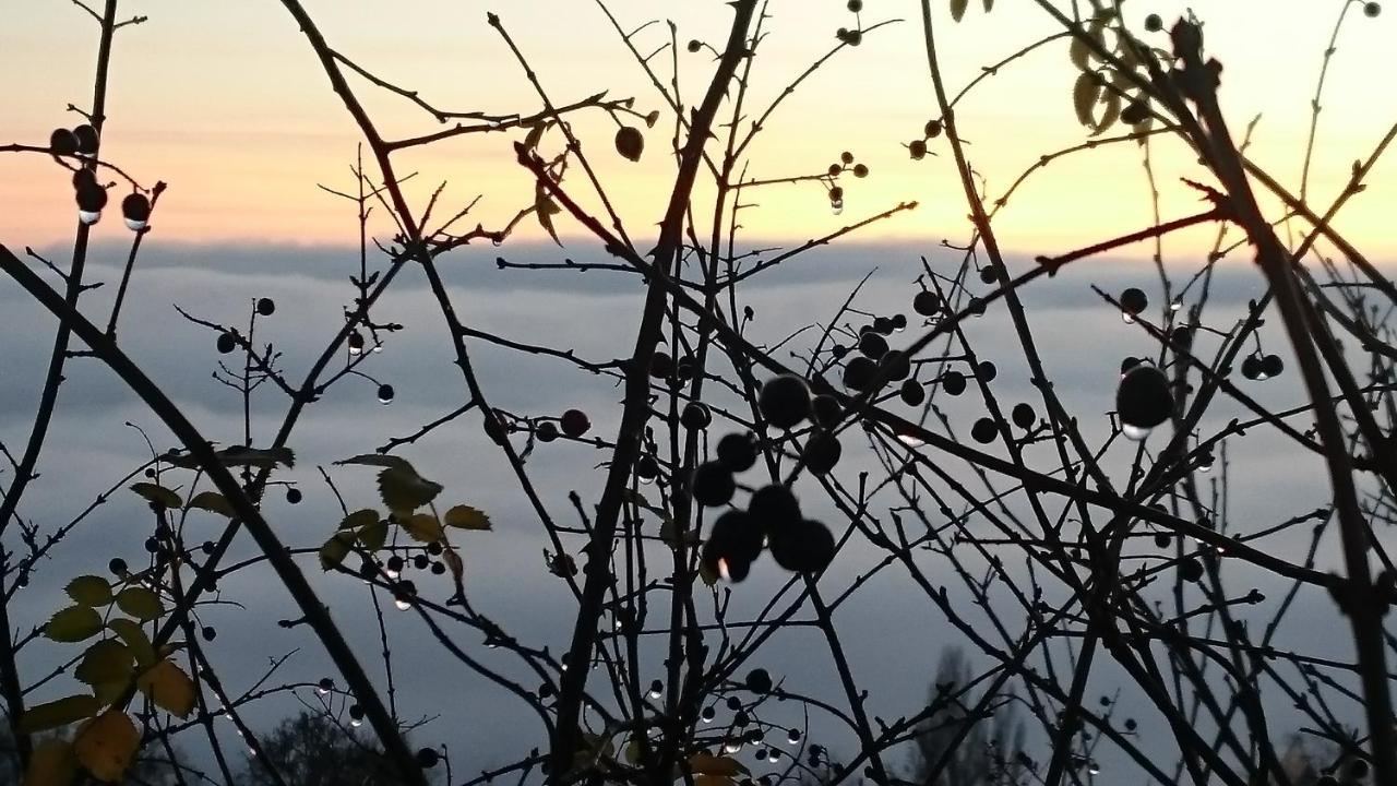 Trenčín Nature Homestay מראה חיצוני תמונה
