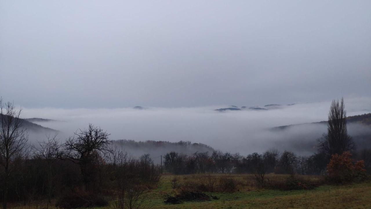 Trenčín Nature Homestay מראה חיצוני תמונה