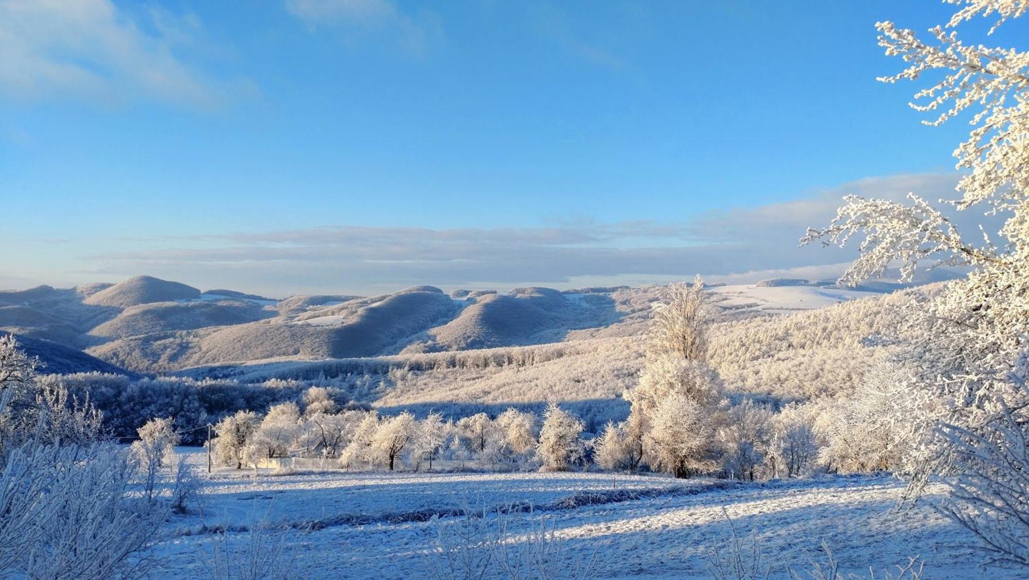 Trenčín Nature Homestay מראה חיצוני תמונה